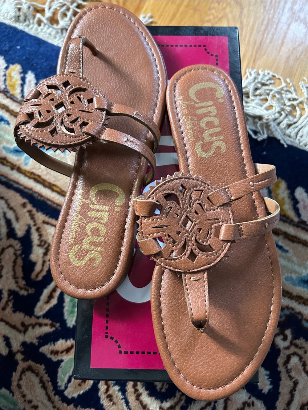 Circus by Sam Edelman Brown Leather Canyon Thong Sandals in Saddle